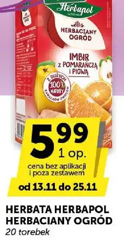 Euro Sklep Herbata Herbapol Herbaciany Ogród imbir z pomarańczą i pigwą oferta