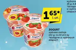 Groszek Jogurt wybrane rodzaje 150 g Groszek oferta