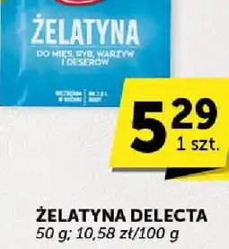Euro Sklep Żelatyna Delecta oferta