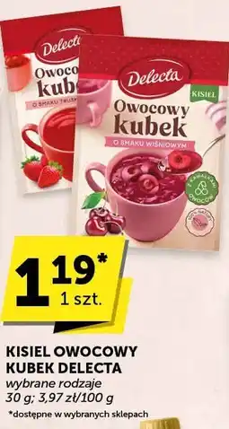 Euro Sklep Kisiel owocowy Kubek Delecta wybrane rodzaje oferta