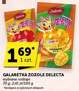 Euro Sklep Galaretka Zozole Delecta wybrane rodzaje oferta