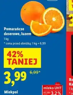 Lidl Pomarańcze oferta