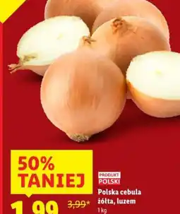 Lidl Polska cebula oferta