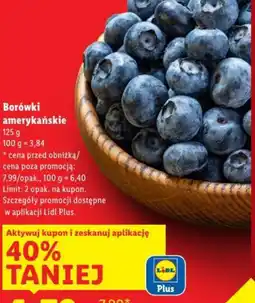 Lidl Borówki amerykańskie oferta