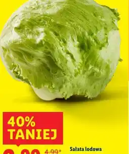 Lidl Sałata lodowa oferta