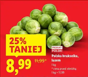 Polska brukselka, luzem Lidl