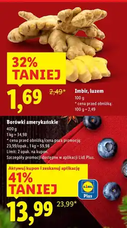 Lidl Borówki amerykańskie Lidl oferta