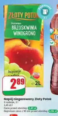 Dino Napój niegazowany Złoty Potok oferta