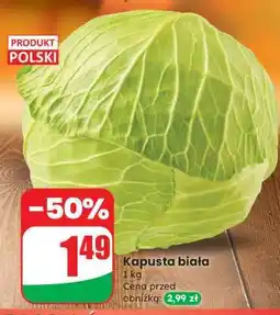 Dino Kapusta biała oferta