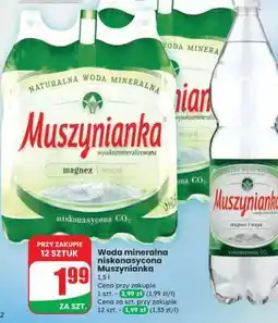 Dino Woda mineralna niskonasycona Muszynianka oferta