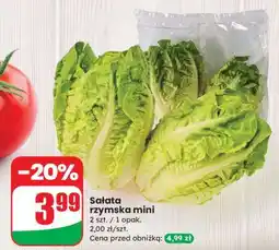 Dino Sałata rzymska mini oferta
