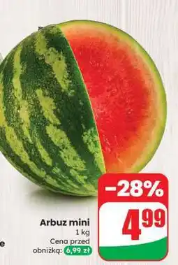 Dino Arbuz mini oferta