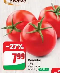 Dino Pomidor oferta