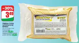 Dino Gąbka z irchy syntetycznej Bottari oferta