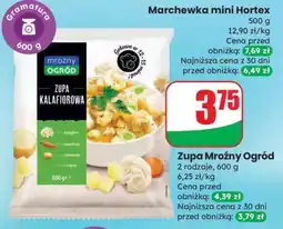 Dino Zupa Mroźny Ogród oferta
