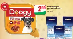 Dino Pasztet dla psa z wołowiną Doogy oferta