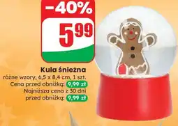 Dino Kula śnieżna oferta