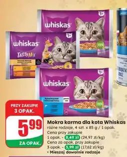 Dino Mokra karma dla kota Whiskas oferta