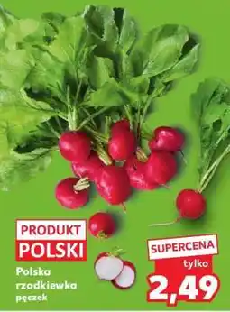 Kaufland Polska rzodkiewka pęczek oferta