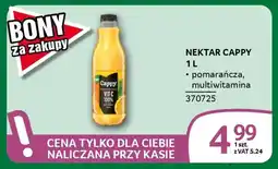 Selgros Nektar cappy oferta