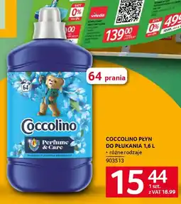 Selgros Coccolino płyn do płukania oferta