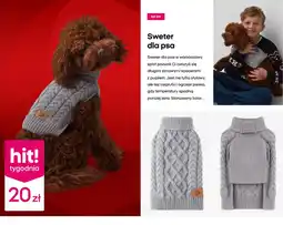 Pepco Sweter dla psa oferta