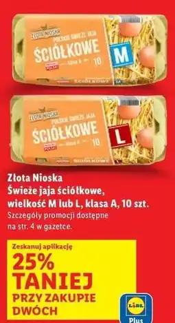 Lidl Jaja swieze kl. m Złota Nioska oferta