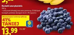 Lidl Borówki amerykańskie oferta