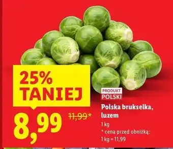 Lidl Brukselka polska oferta