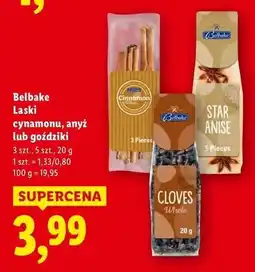 Lidl Goździki Belbake oferta