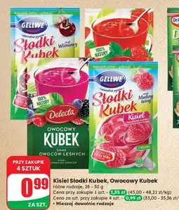Dino Kisiel owoce leśne z kawałkami owoców Delecta Owocowy Kubek oferta