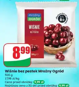 Dino Wiśnie Mroźny Ogród oferta