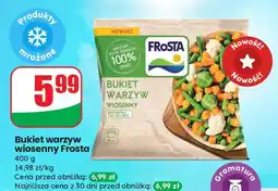 Dino Bukiet warzyw wiosennych Frosta oferta