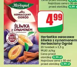 Dino Herbata śliwka z cynamonem Herbapol Herbaciany Ogród oferta