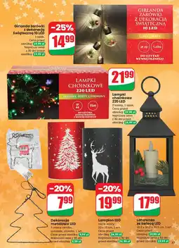 Dino Girlanda żarówki oferta