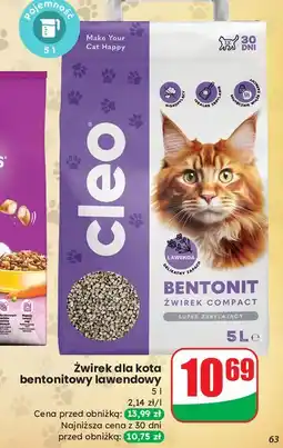 Dino Żwirek bentonitowy lawendowy Cleo oferta