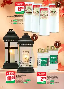 Dino Wkład olejowy bio-8 Bio Oil oferta