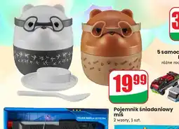 Dino Pojemnik śniadaniowy miś oferta