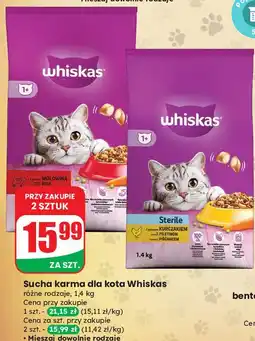 Dino Karma dla kota z kurczakiem Whiskas oferta