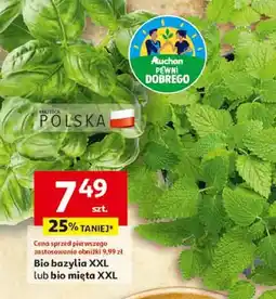 Auchan Mięta bio Auchan Pewni Dobrego oferta