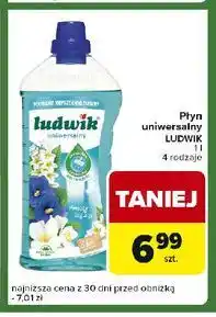 Carrefour Express Płyn uniwersalny kwiaty laguny Ludwik oferta