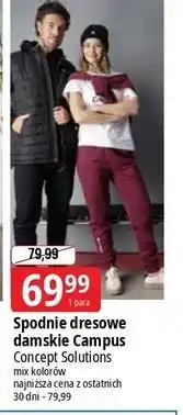 E.Leclerc Spodnie dresowe damskie s-xl Campus oferta