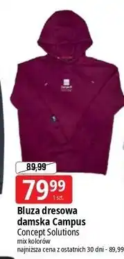 E.Leclerc Bluza dresowa damska Campus oferta