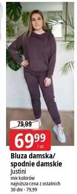 E.Leclerc Bluza damska Justini oferta