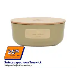 Action Świeca zapachowa Treewick oferta