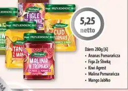DUO-TES Dżem oferta