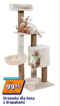 Action Drzewko dla kota z drapakami oferta