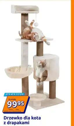 Action Drzewko dla kota oferta