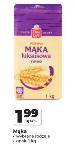 Odido Mąka Fine life oferta