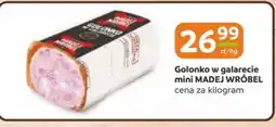 Gama Madej wrobel golonko w galarecie oferta